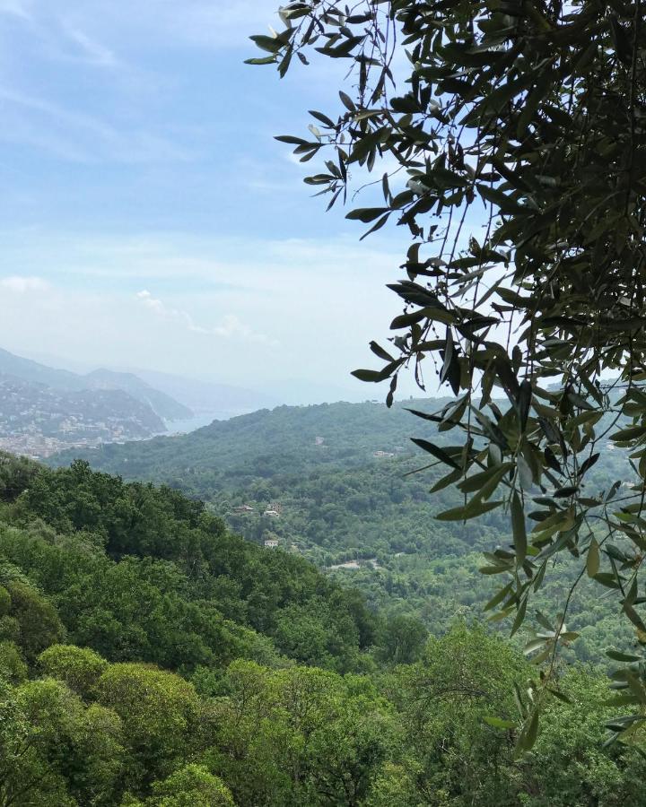 La Riviera Bed & Breakfast Bed and Breakfast Rapallo Eksteriør billede