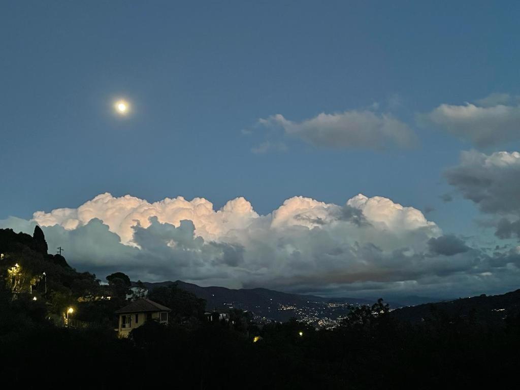 La Riviera Bed & Breakfast Bed and Breakfast Rapallo Eksteriør billede
